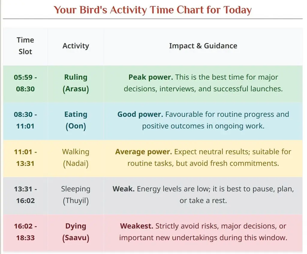 Sample Pancha Pakshi Forecast Report – Birth Bird and Daily Activity Cycle